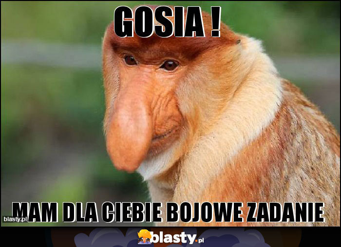 Gosia !