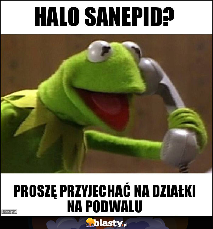 HALO SANEPID?