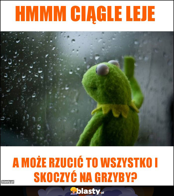 Hmmm ciągle leje