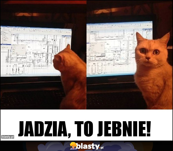 Jadzia, to jebnie!