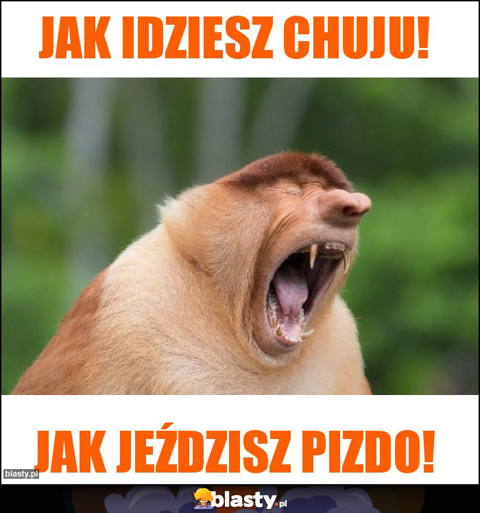 Jak idziesz chuju!