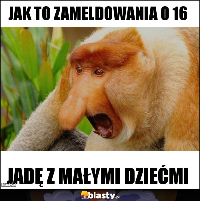 JAK TO ZAMELDOWANIA O 16