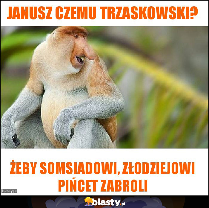 Janusz czemu Trzaskowski?