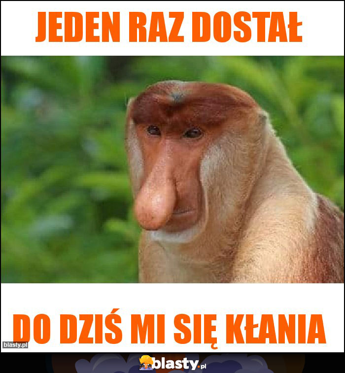 Jeden raz dostał