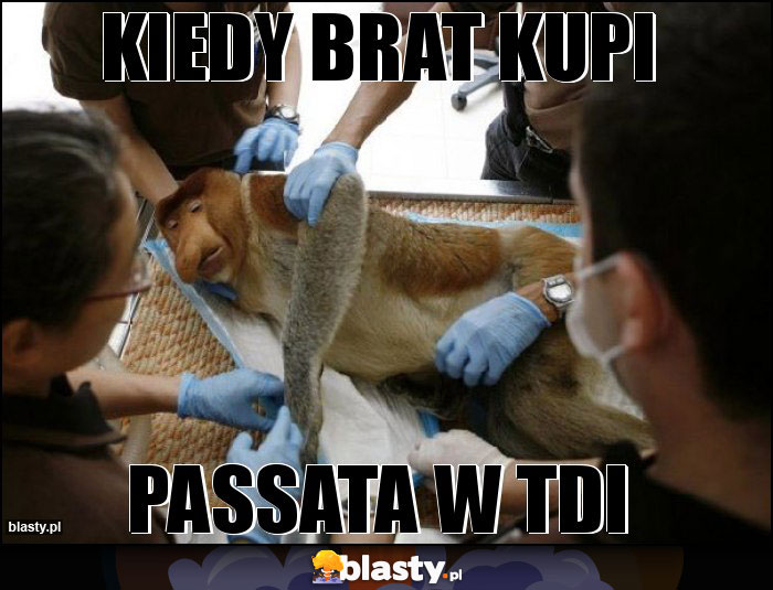 KIEDY BRAT KUPI