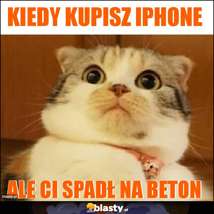 Kiedy kupisz iphone