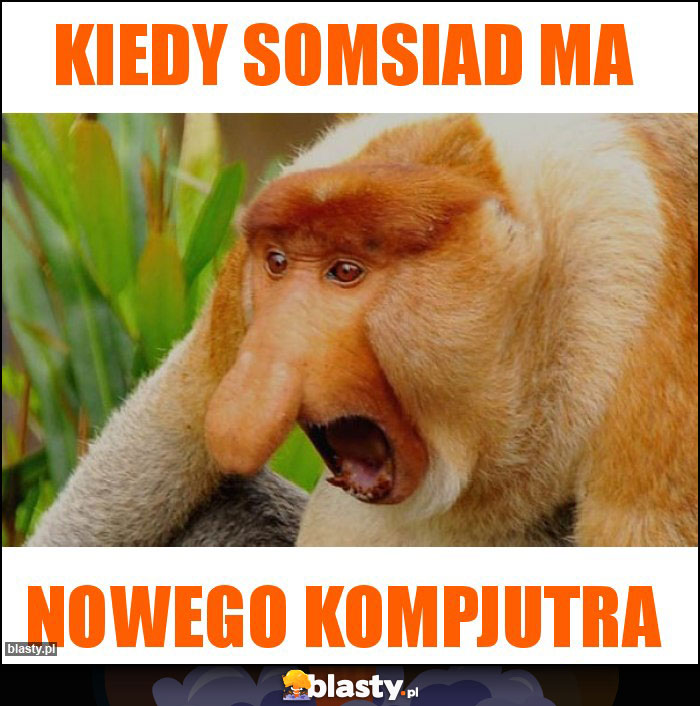 Kiedy somsiad ma