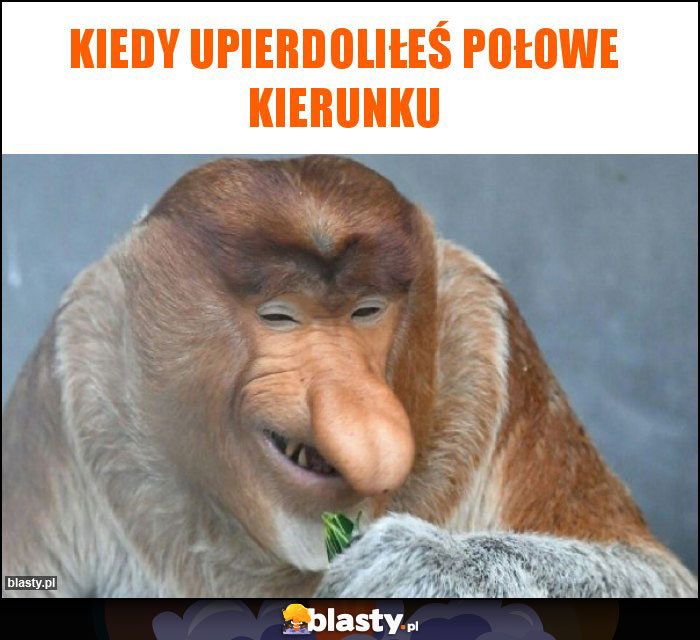 Kiedy upierdoliłeś połowe kierunku