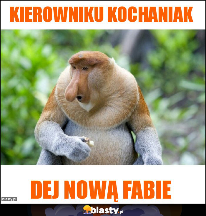 Kierowniku Kochaniak