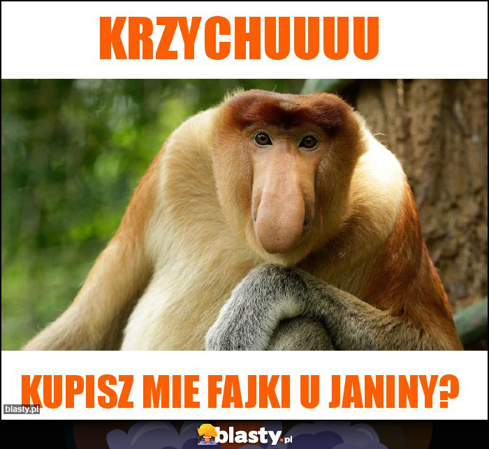 KRZYCHUUUU