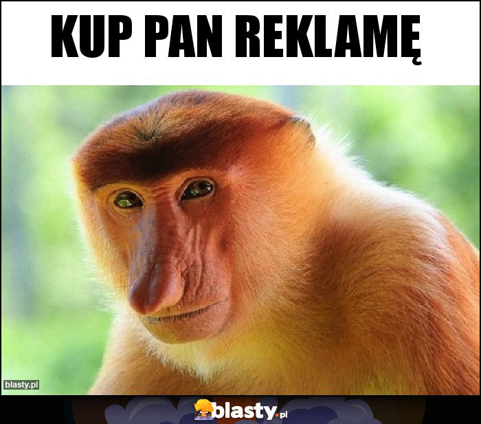 KUP PAN REKLAMĘ