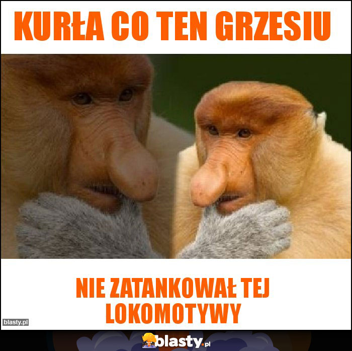 Kurła co ten grzesiu