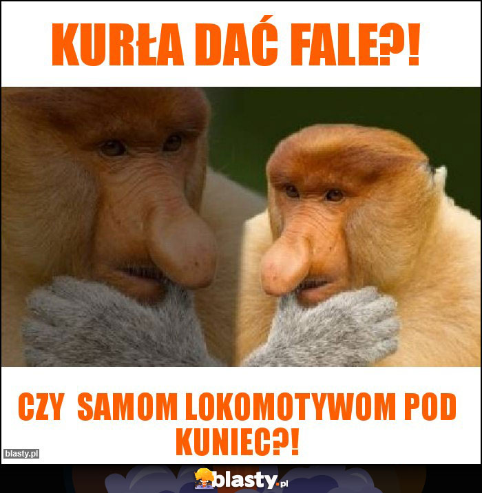 Kurła dać fale?!