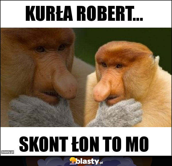 Kurła robert...