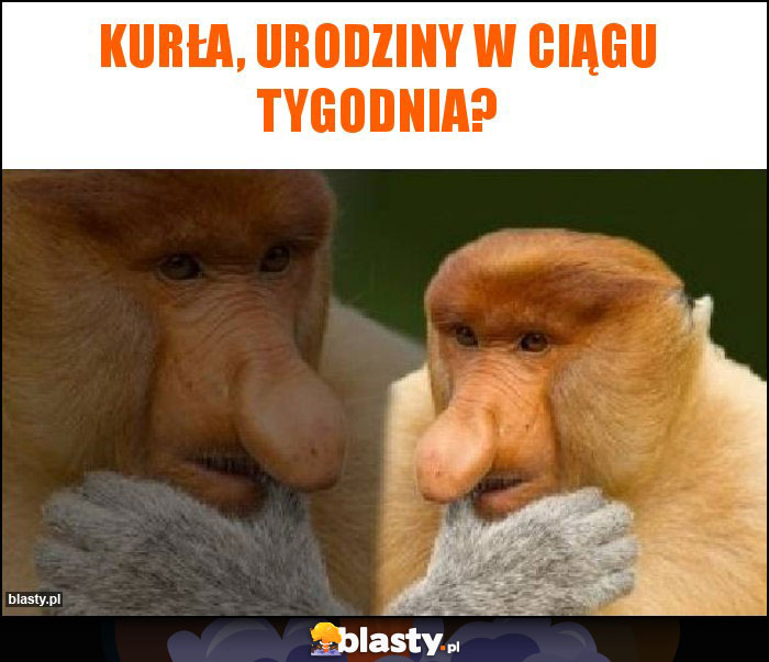 Kurła, urodziny w ciągu tygodnia?