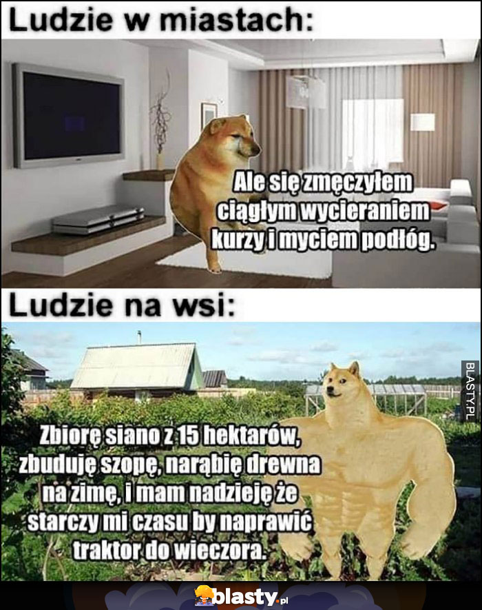 Ludzie w miastach ale się zmęczyłem sprzątaniem, ludzie na wsi zbiorę sioano, zbuduję szopę, narąbię dręwna. Pieseł doge