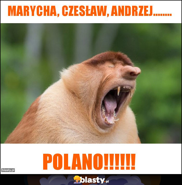 Marycha, Czesław, Andrzej........