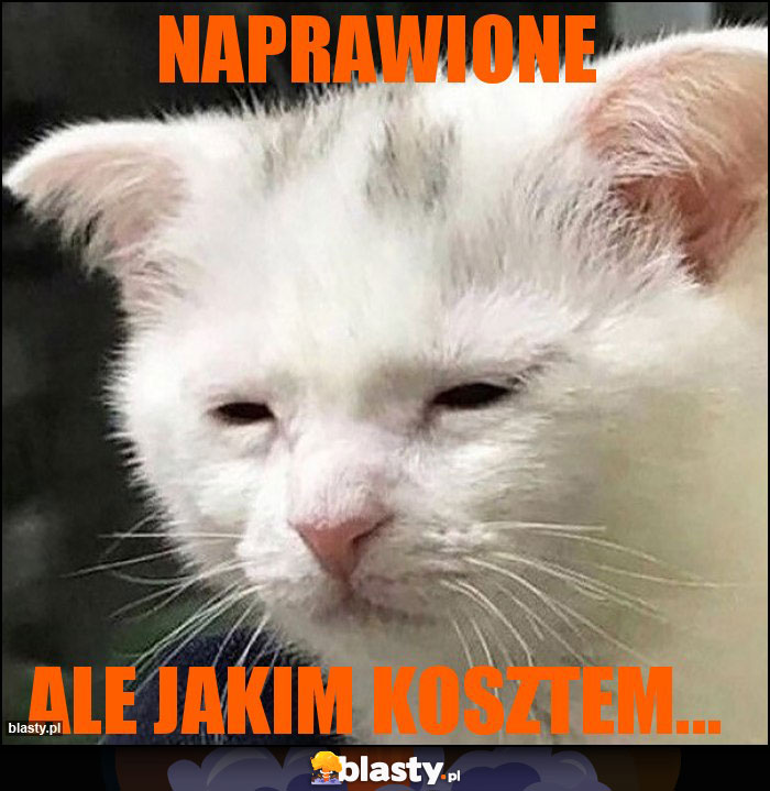 Naprawione