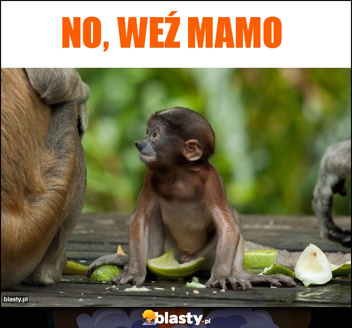 No, weź mamo