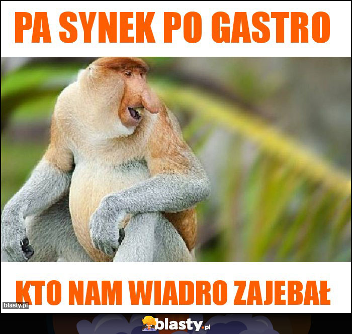 Pa synek po gastro