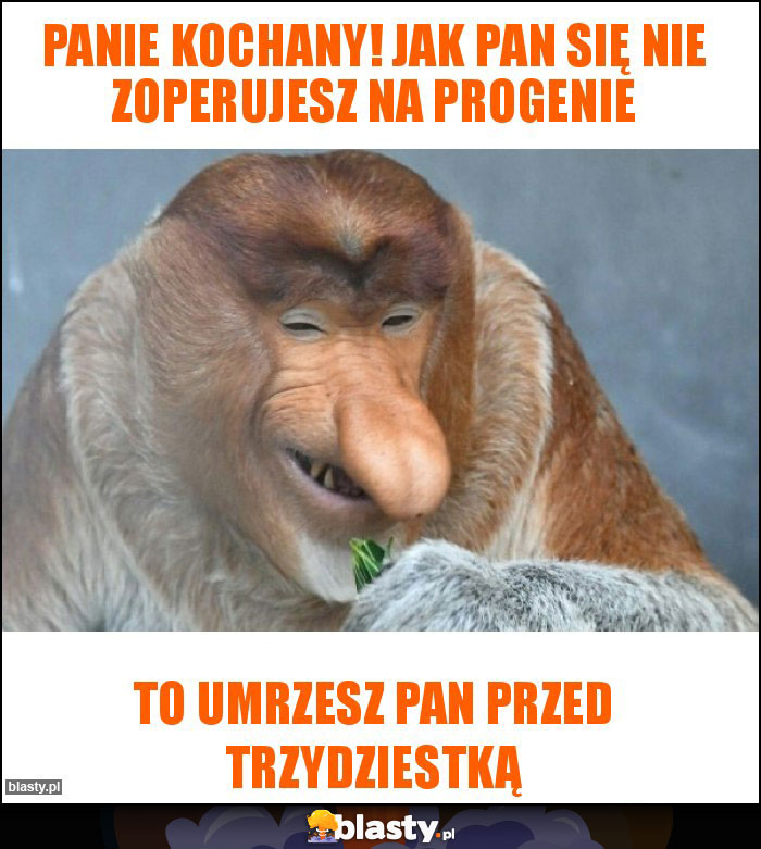 Panie kochany! Jak pan się nie zoperujesz na progenie