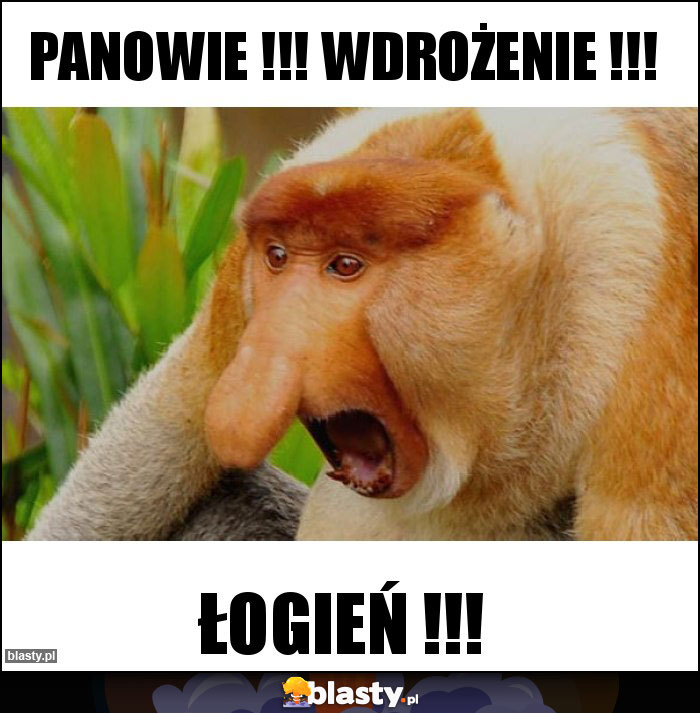 Panowie !!! Wdrożenie !!!