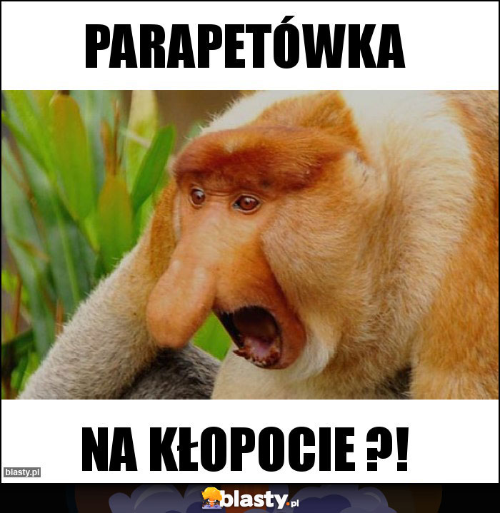 PARAPETÓWKA