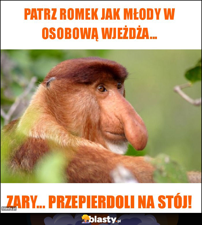 Patrz Romek jak młody w Osobową wjeżdża...