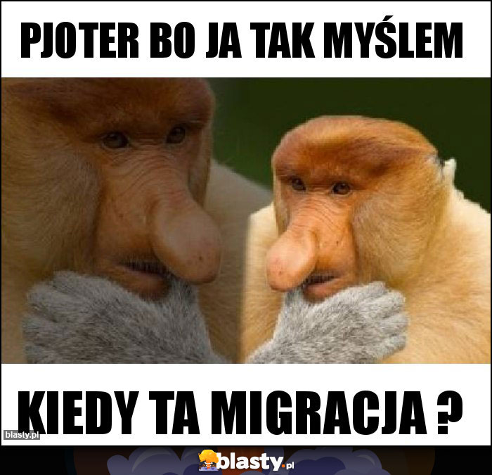 PJOTER BO JA TAK MYŚLEM