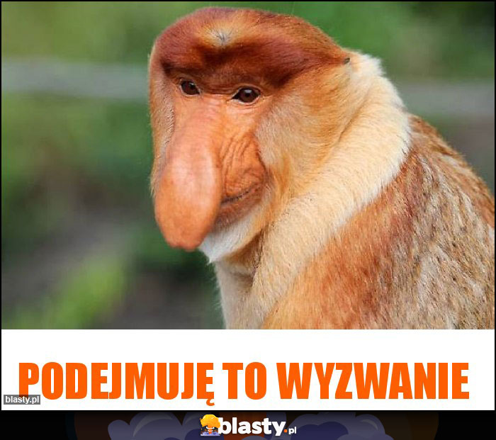 Podejmuję to wyzwanie