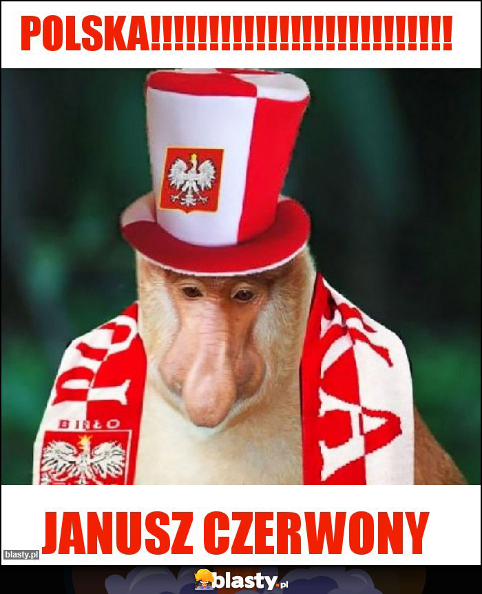 polska!!!!!!!!!!!!!!!!!!!!!!!!!!