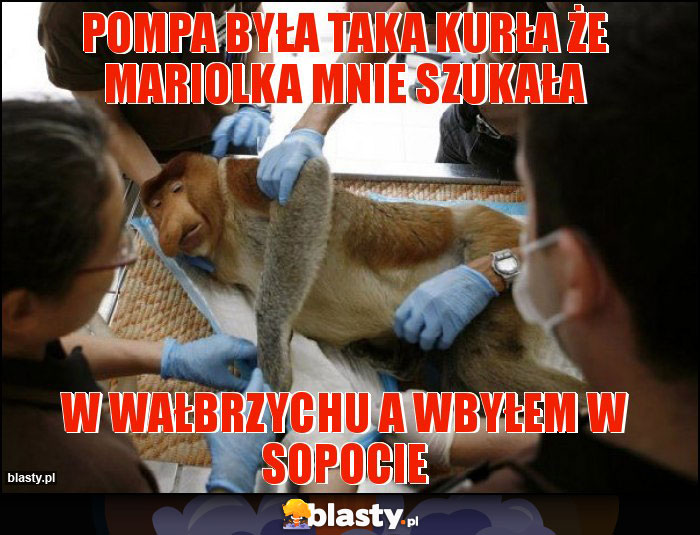 pompa była taka kurła że mariolka mnie szukała