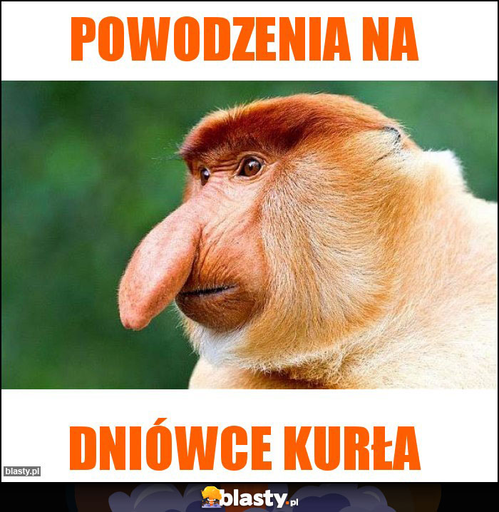 Powodzenia na