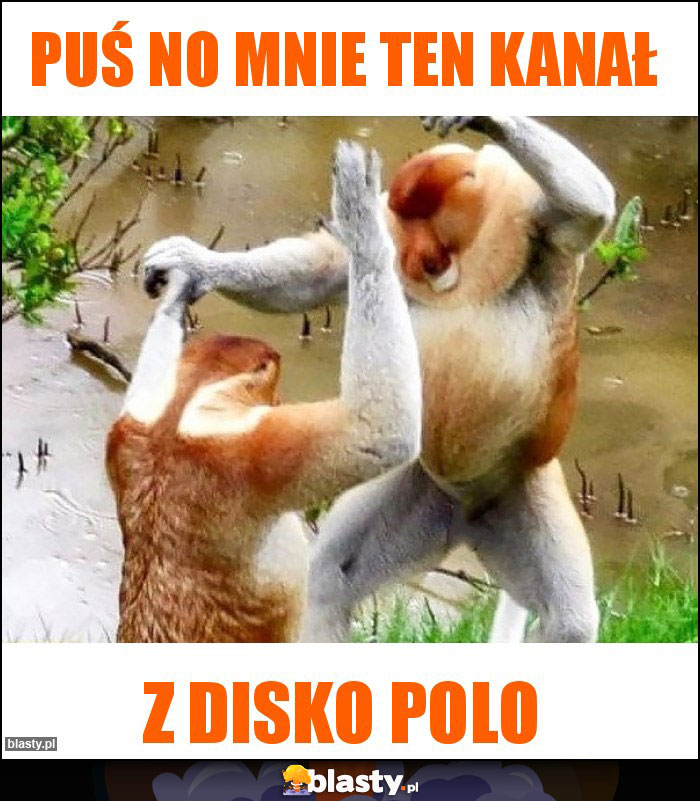 Puś no mnie ten kanał