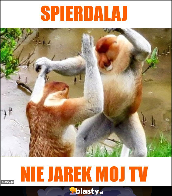 Spierdalaj