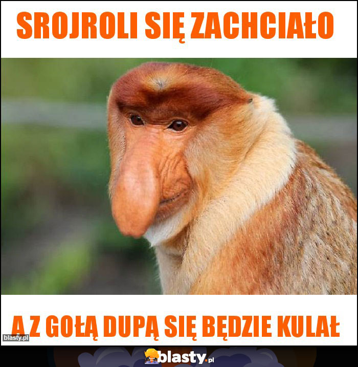 srojroli się zachciało