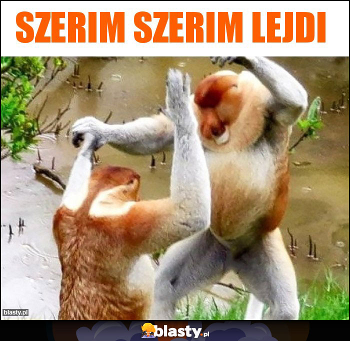 SZERIM SZERIM LEJDI