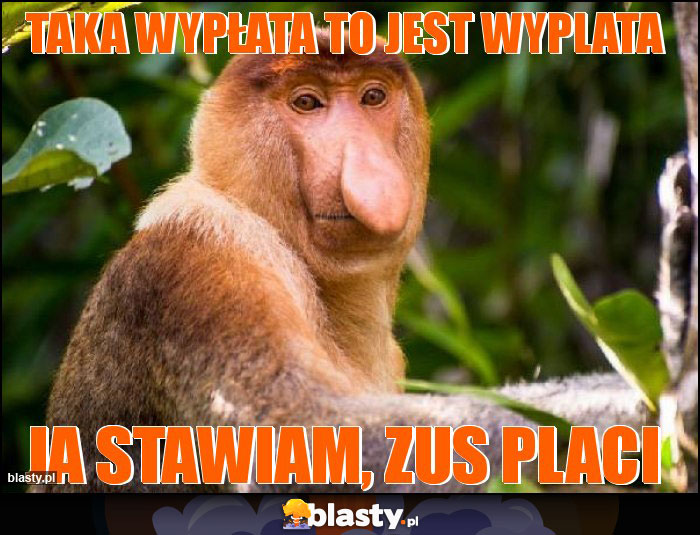 Taka wypłata to jest wyplata