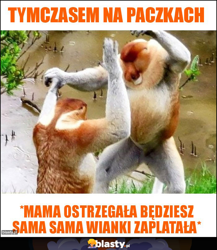 TYMCZASEM NA PACZKACH