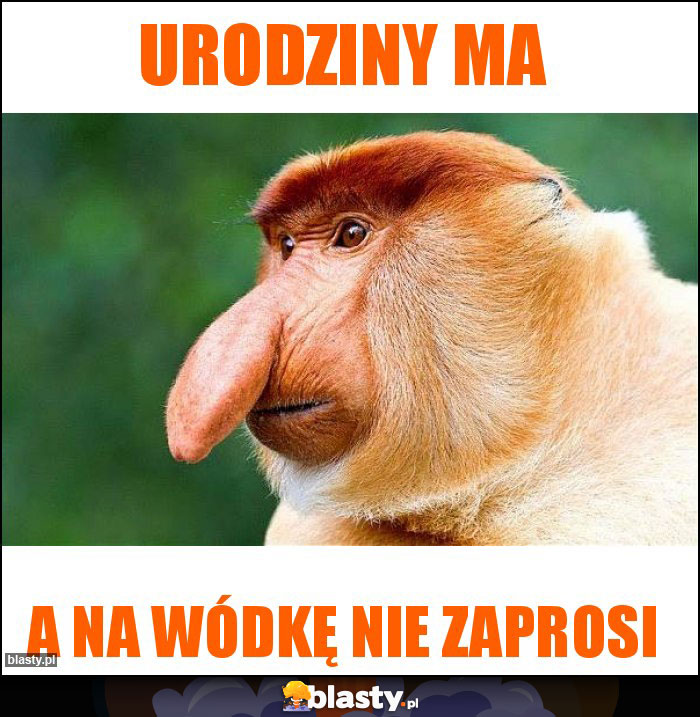 Urodziny ma