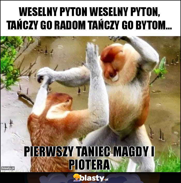 WESELNY PYTON WESELNY PYTON, TAŃCZY GO RADOM TAŃCZY GO BYTOM...