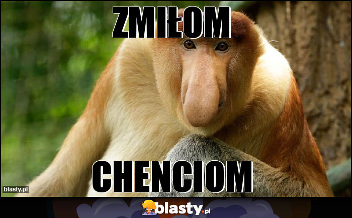 zmiłom