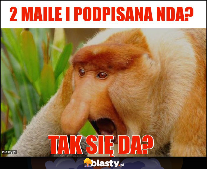 2 maile i podpisana NDA?