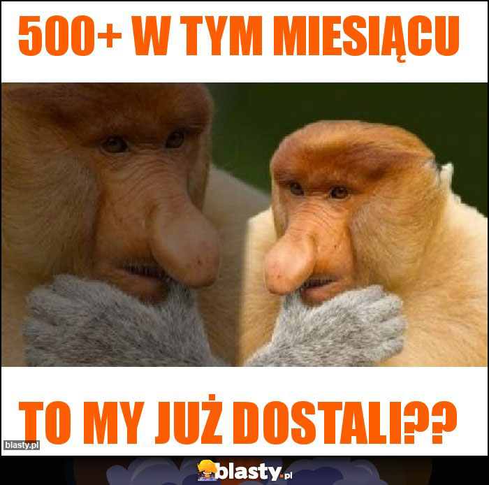 500+ w tym miesiącu