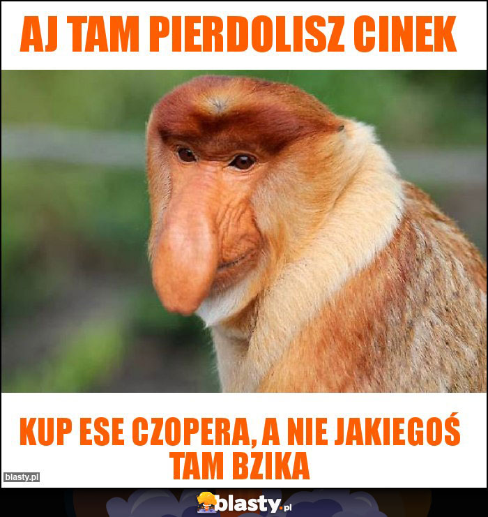 Aj tam pierdolisz Cinek