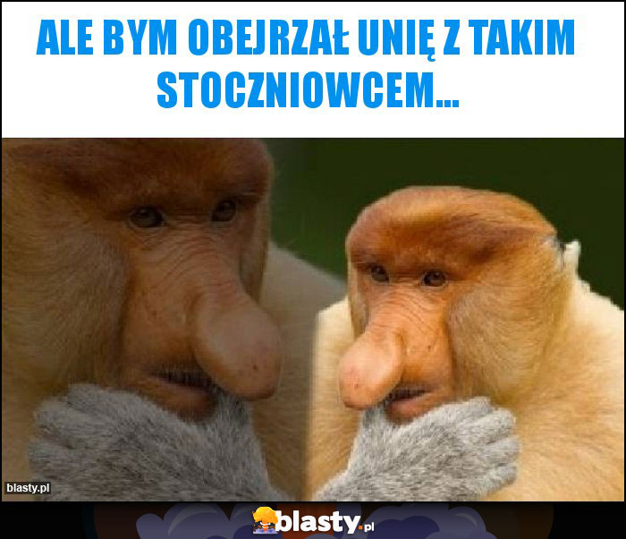 Ale bym obejrzał Unię z takim Stoczniowcem...