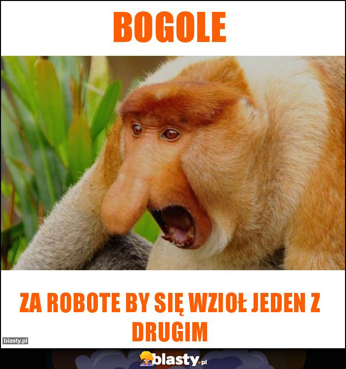 BOgole