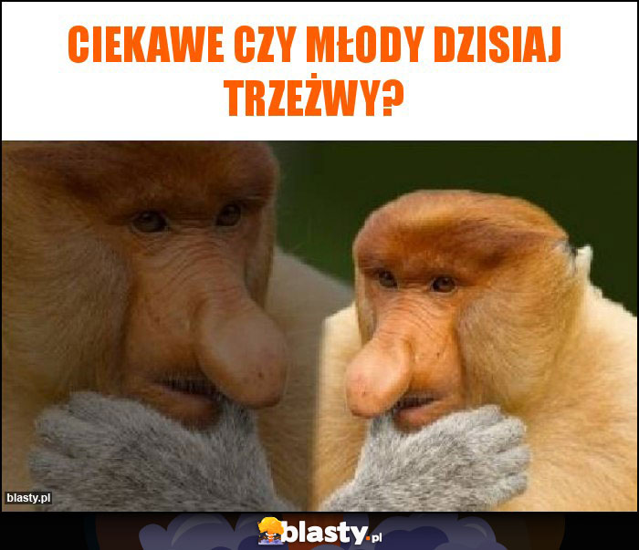 Ciekawe czy młody dzisiaj trzeżwy?