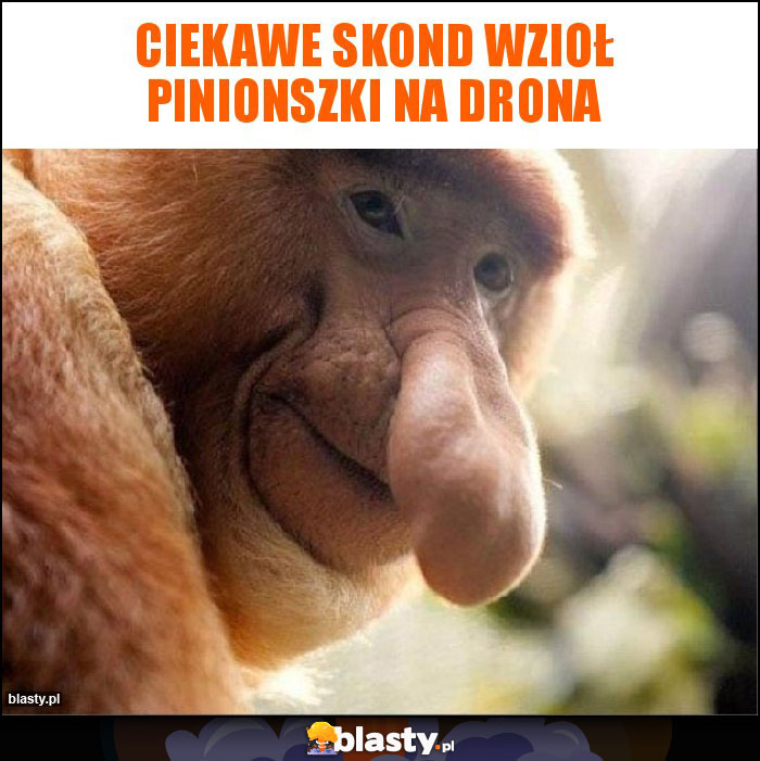 Ciekawe skond wzioł pinionszki na drona