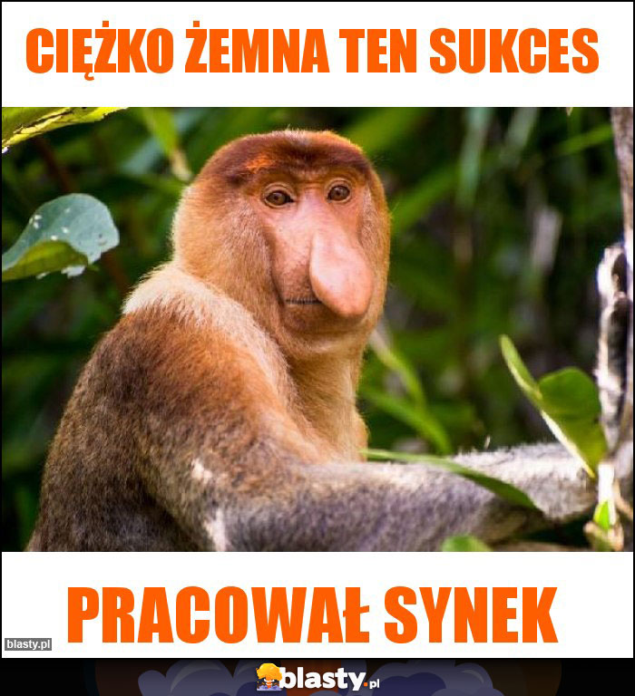 Ciężko żemna ten sukces